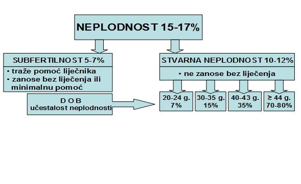 Neplodnost kod žena i muškaraca